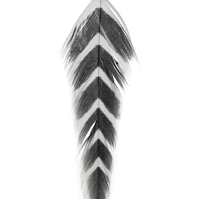0-1-631-861-galloups-fish-feathers-arrowhead-montana-fly-company-268101.webp