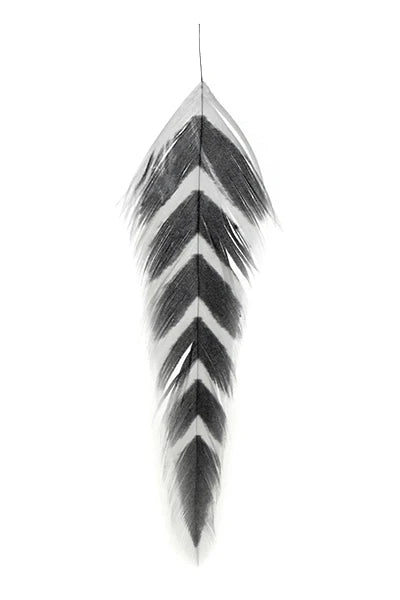 MFC Galloup's Fish Feathers - Arrowhead