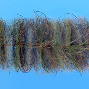 EP Crustaceous Brush