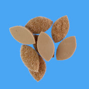 EP Crab Body - Floating