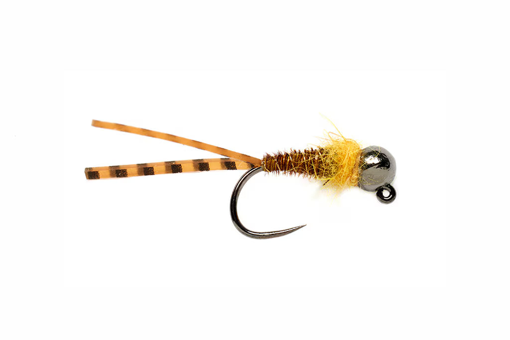 Flagler's Euro Golden Stone - Fulling Mill Fly
