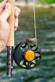 Ross Cimarron LT Fly Reel