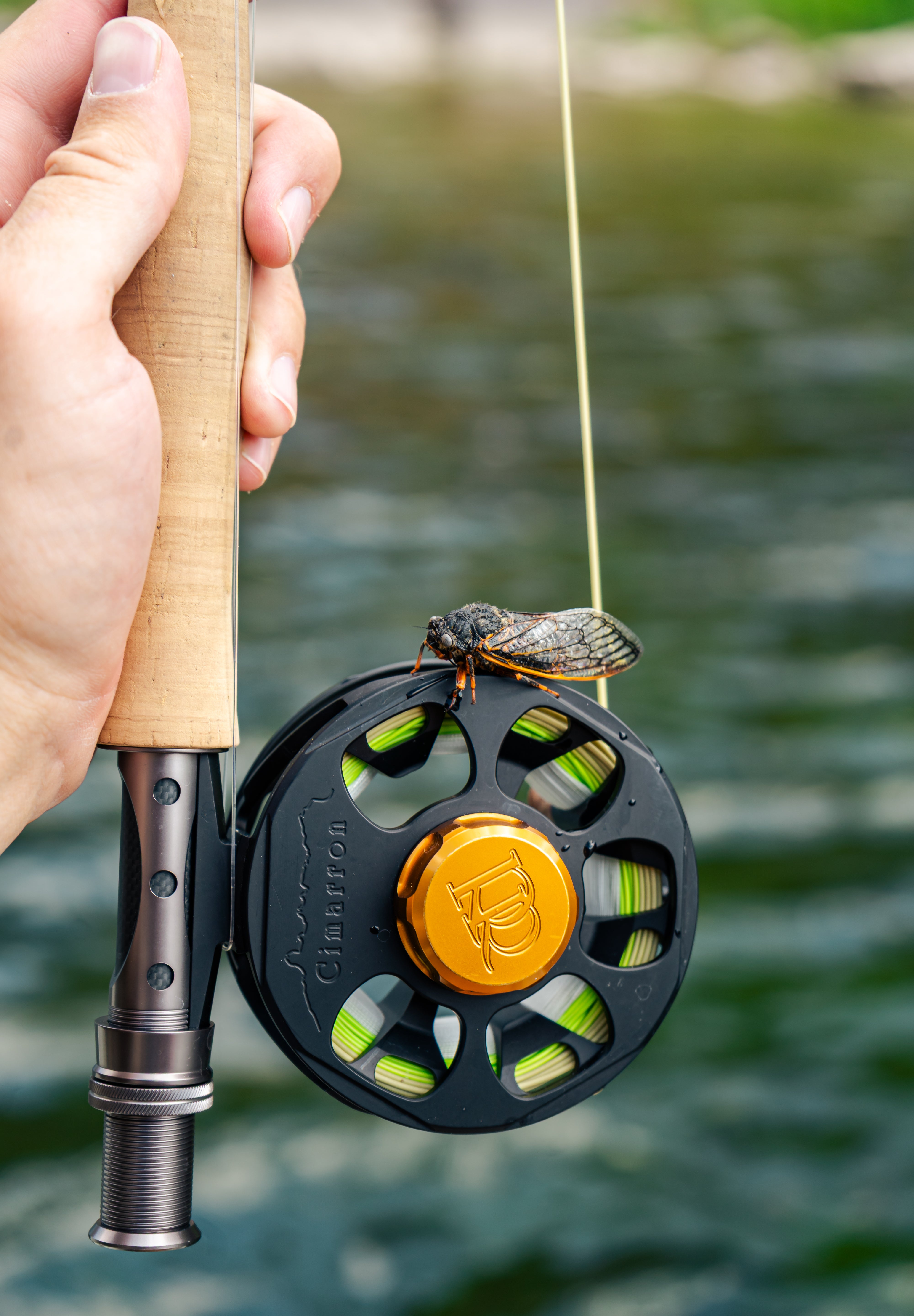 Ross Cimarron LT Fly Reel