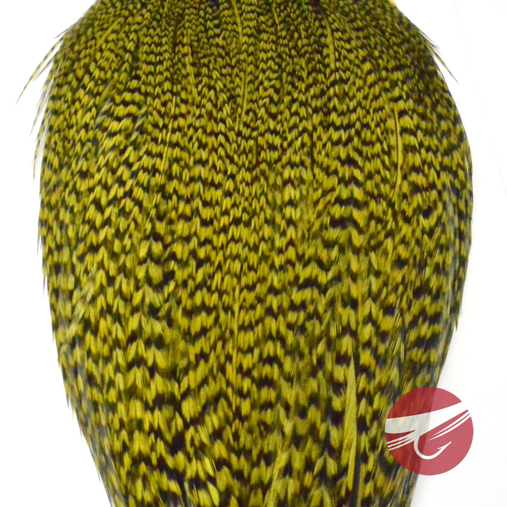 Whiting Farms Rooster Dry Fly Cape - Bronze Grade