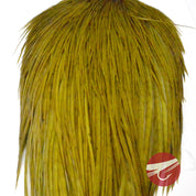 Whiting Farms Rooster Dry Fly Cape - Bronze Grade