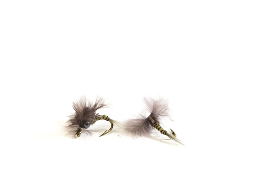 231074_BlueWingedOlive_01.png