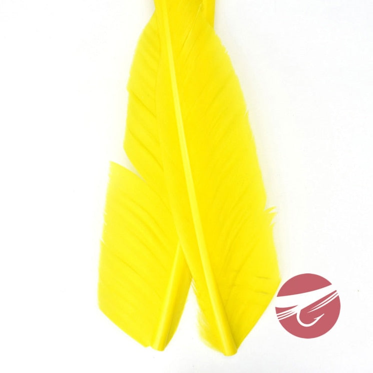 Nature's Spirit Goose Quills