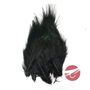 Nature's Spirit Ringneck Pheasant Rump Hackle