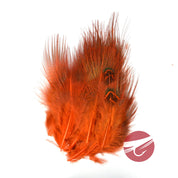 Nature's Spirit Ringneck Pheasant Rump Hackle