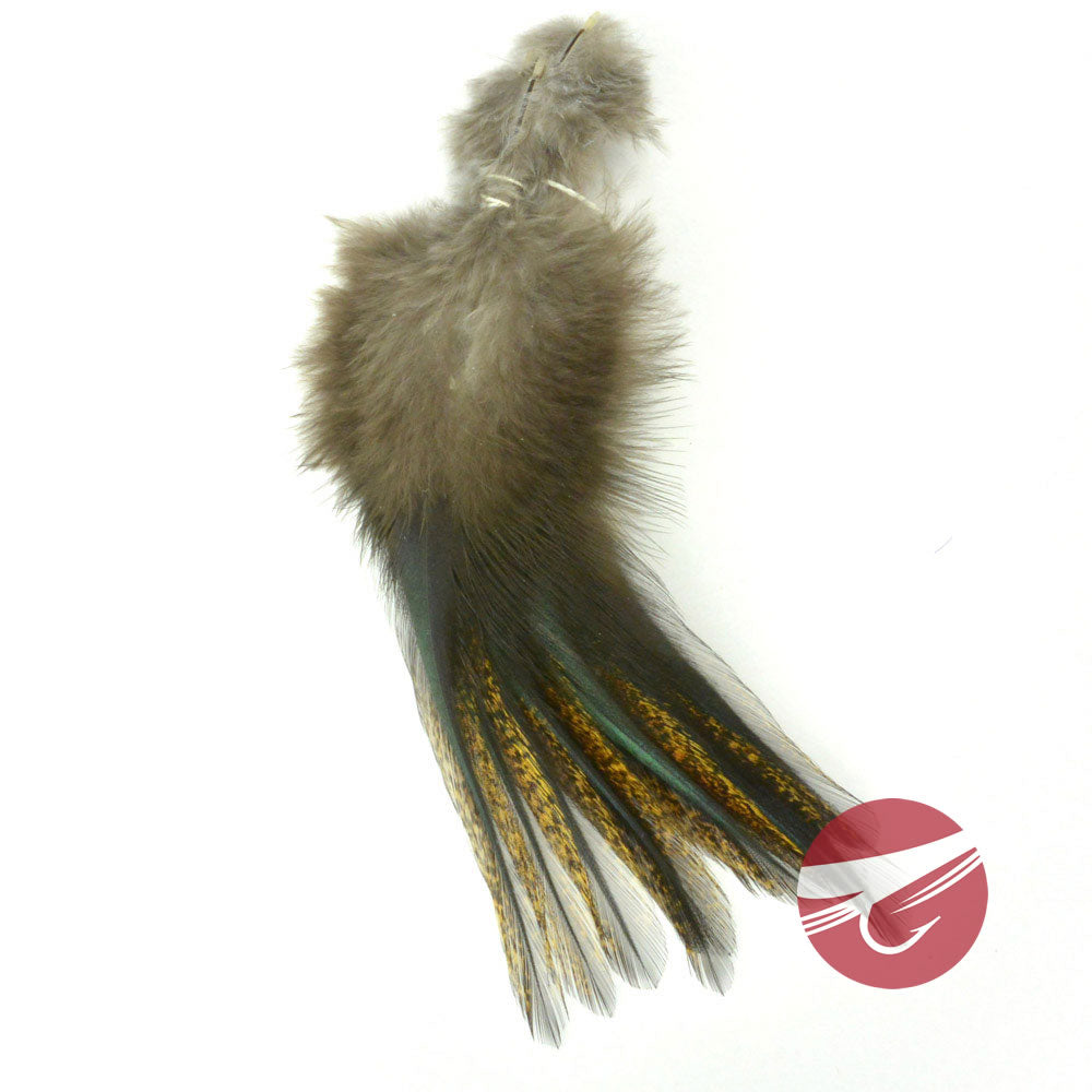 Hareline Coq De Leon