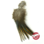 Hareline Coq De Leon