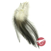 Hareline Coq De Leon