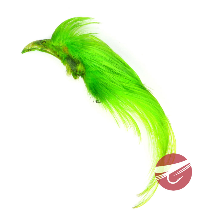 232656_Chartreuse_01.png