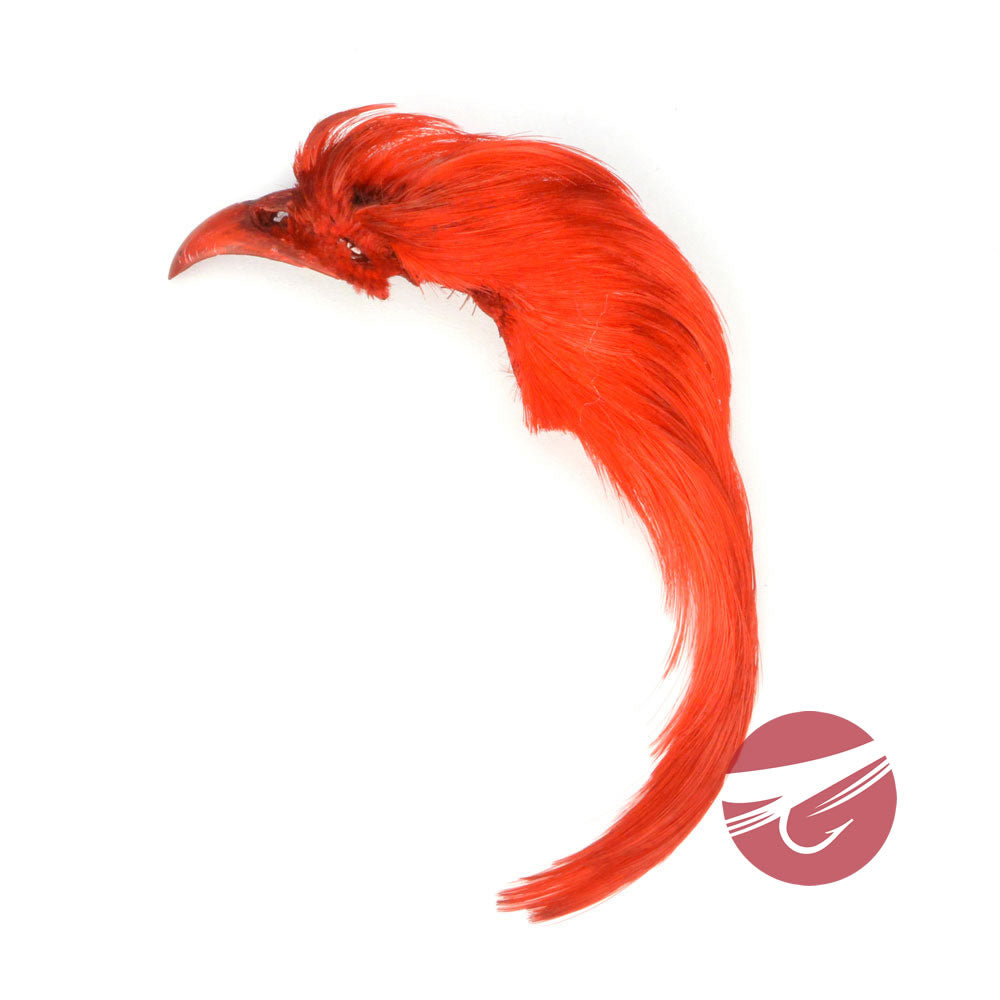 232656_Red_01.jpg