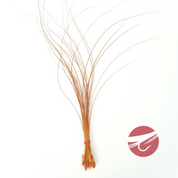 Hareline Quill Body