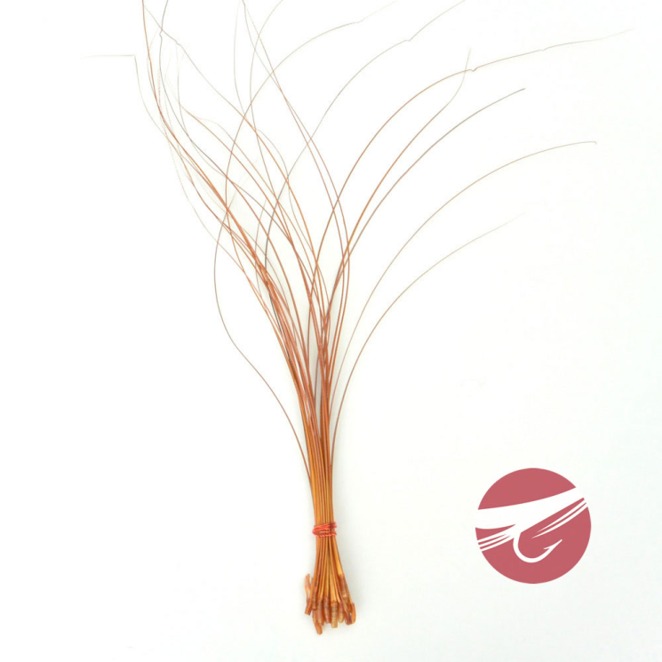 Hareline Quill Body