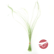 Hareline Quill Body