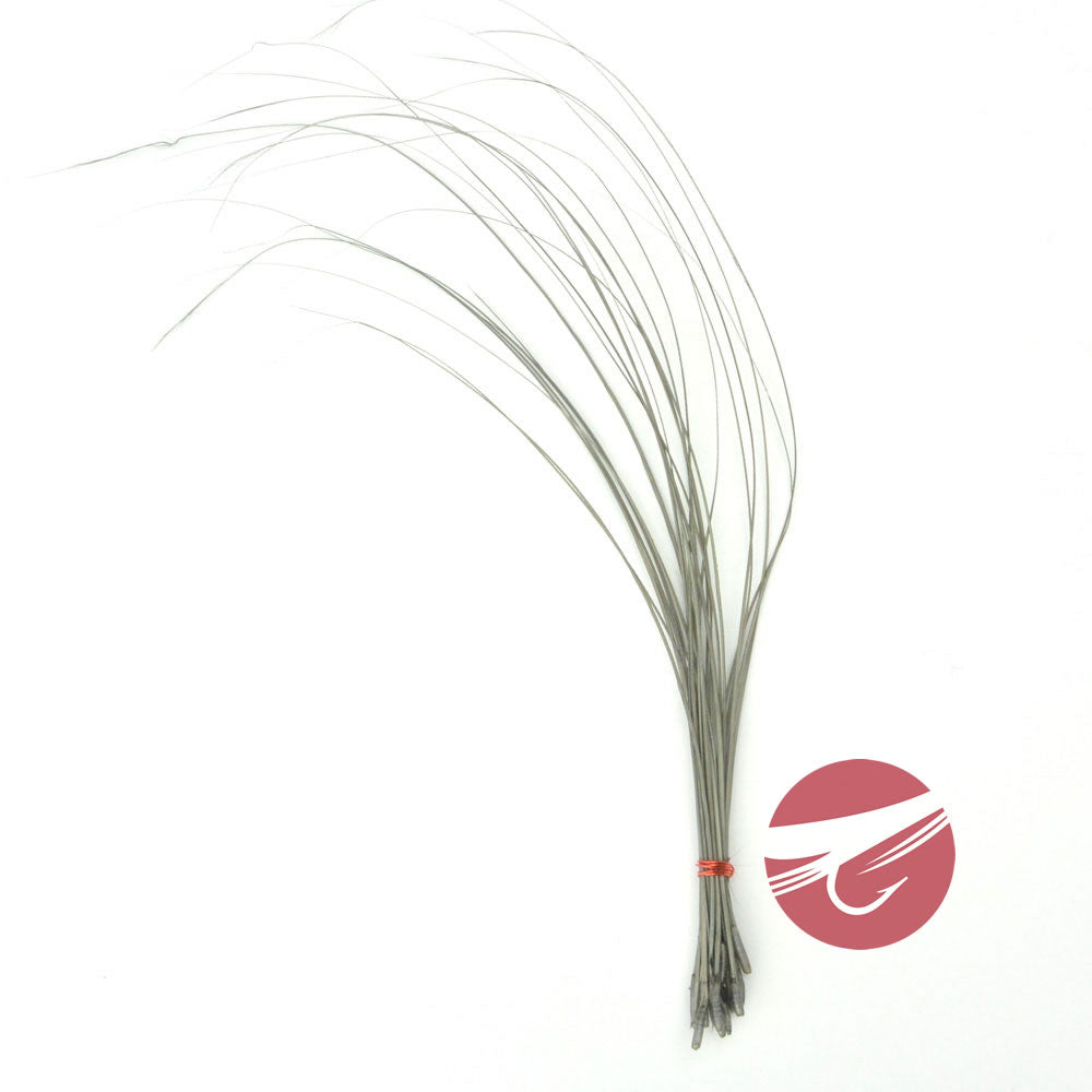 Hareline Quill Body