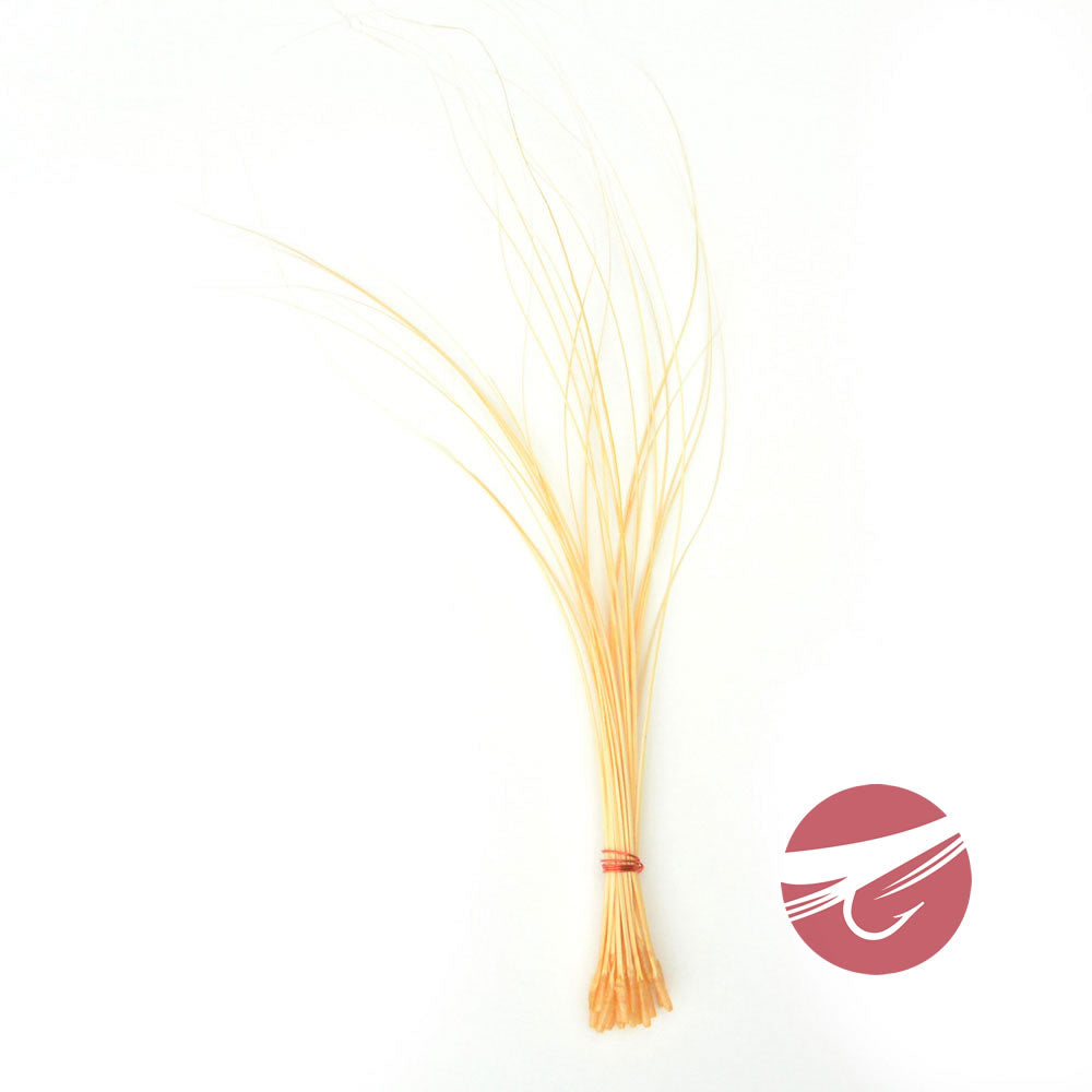 Hareline Quill Body