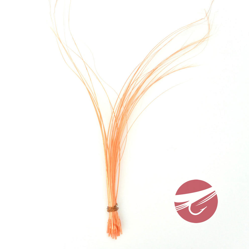 Hareline Quill Body
