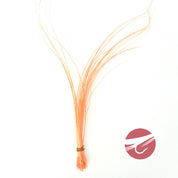 Hareline Quill Body