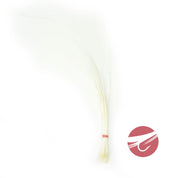 Hareline Quill Body