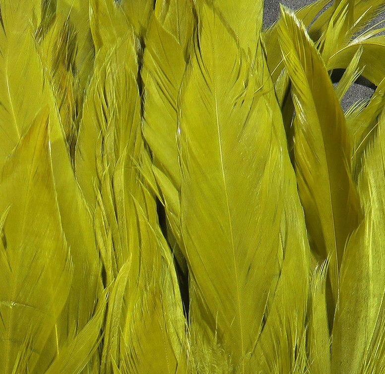 Hareline Schlappen Feathers - 5-7