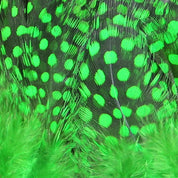 Hareline Strung Guinea Feathers