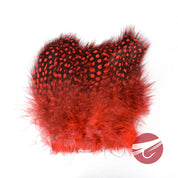 Hareline Strung Guinea Feathers