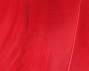 Hareline Select Goose Shoulder