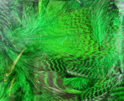Hareline Teal Flank Feathers