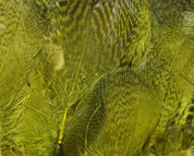 Hareline Teal Flank Feathers