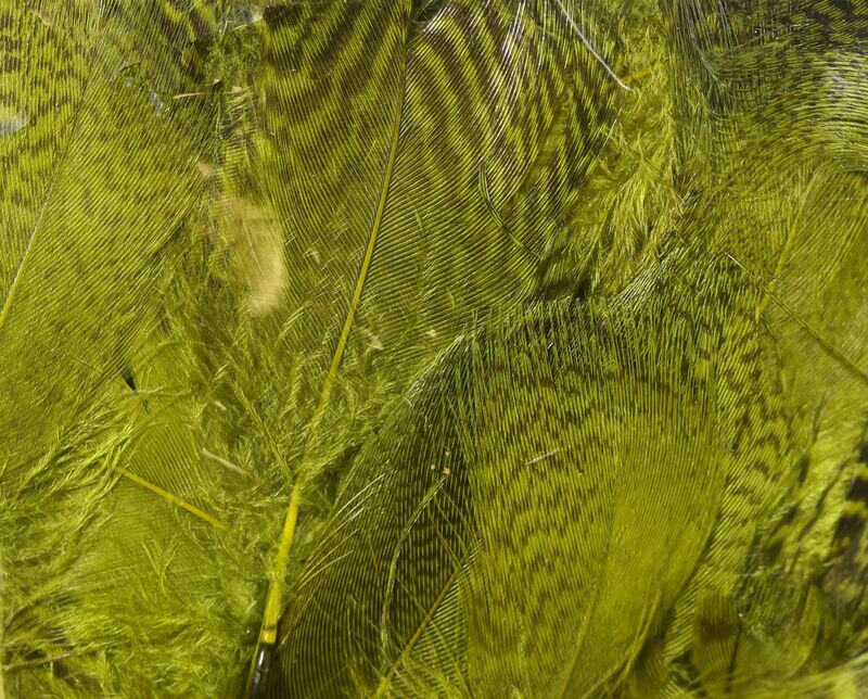 Hareline Teal Flank Feathers