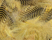Hareline Teal Flank Feathers