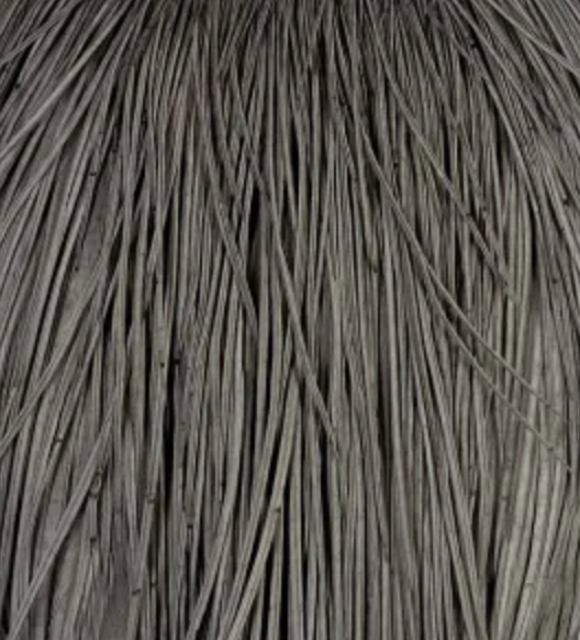 Whiting Farms Rooster Dry Fly Cape - Silver Grade