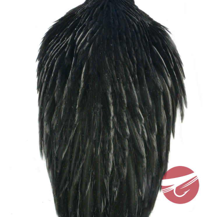 232806_Black_01.png