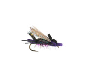 Amy's Ant - Umpqua Fly