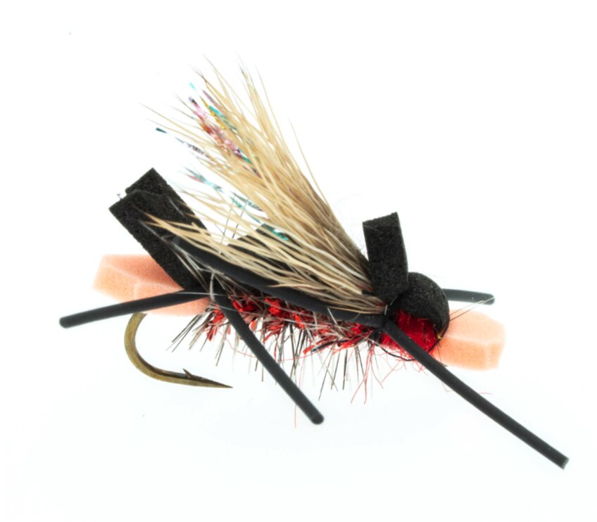 Amy's Ant - Umpqua Fly