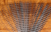 Hareline Barred Mayfly Tail