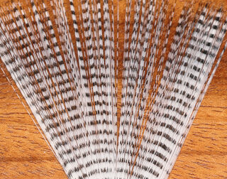 Hareline Barred Mayfly Tail