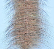 EP Foxy Brush 3