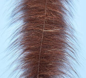 EP Foxy Brush 3