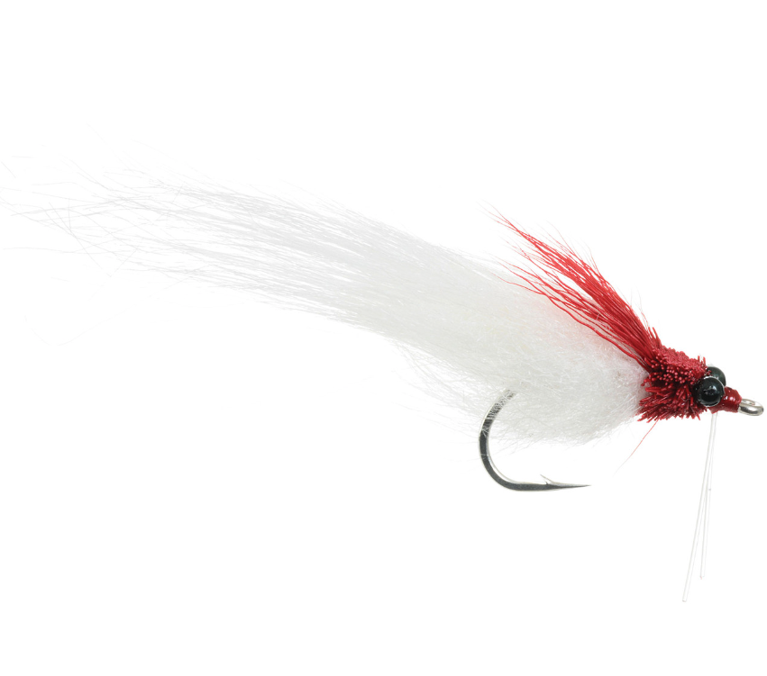 Student's Fishalicious - Umpqua Fly