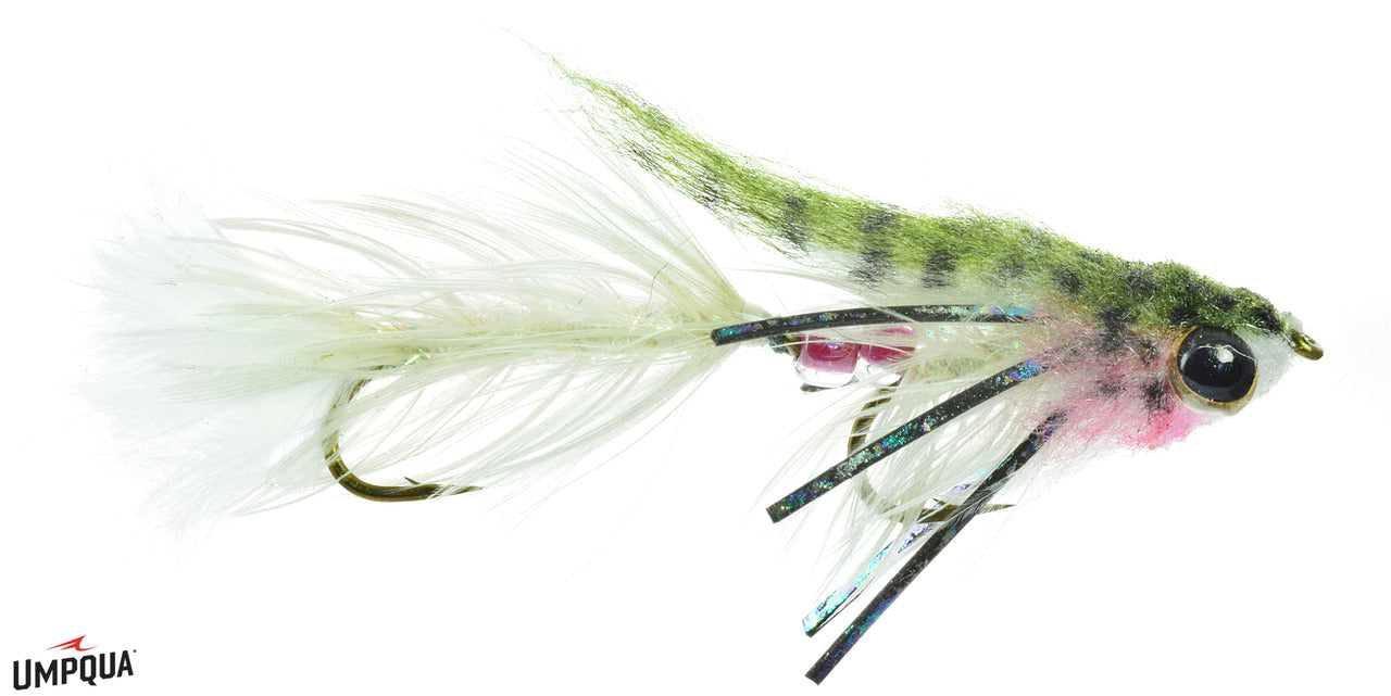 Craven's Baby Gonga - Umpqua Fly