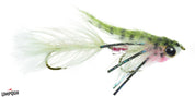 Craven's Baby Gonga - Umpqua Fly