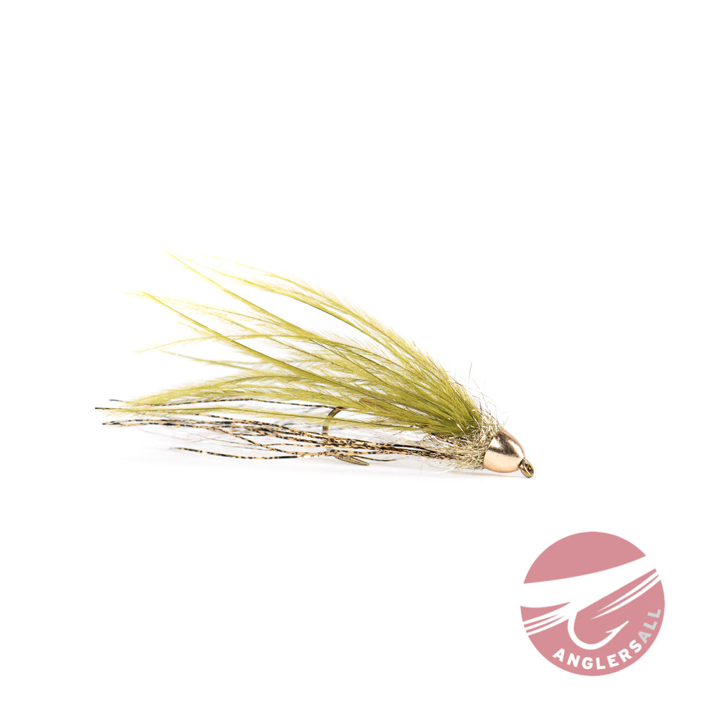 236511_Olive_01.jpg