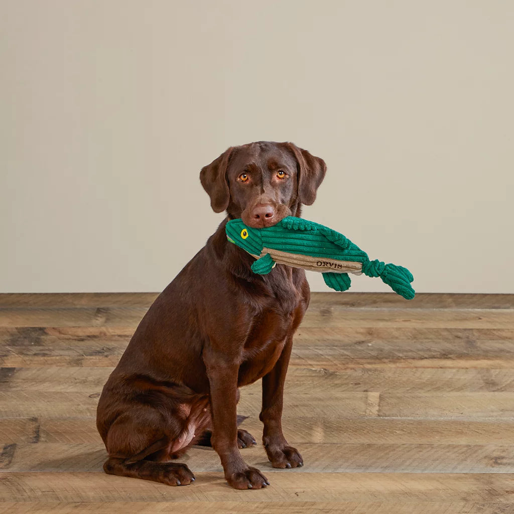 Animal Squeaky Toy - Largemout Bass