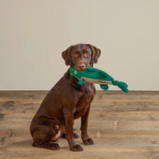 Animal Squeaky Toy - Largemout Bass