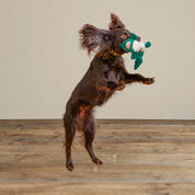 Animal Squeaky Toy - Largemout Bass