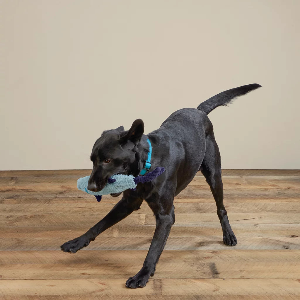2J2Y75DS25ALT1_044.webp